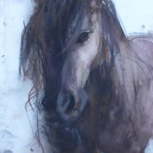 Fries paard – Pastel met conte