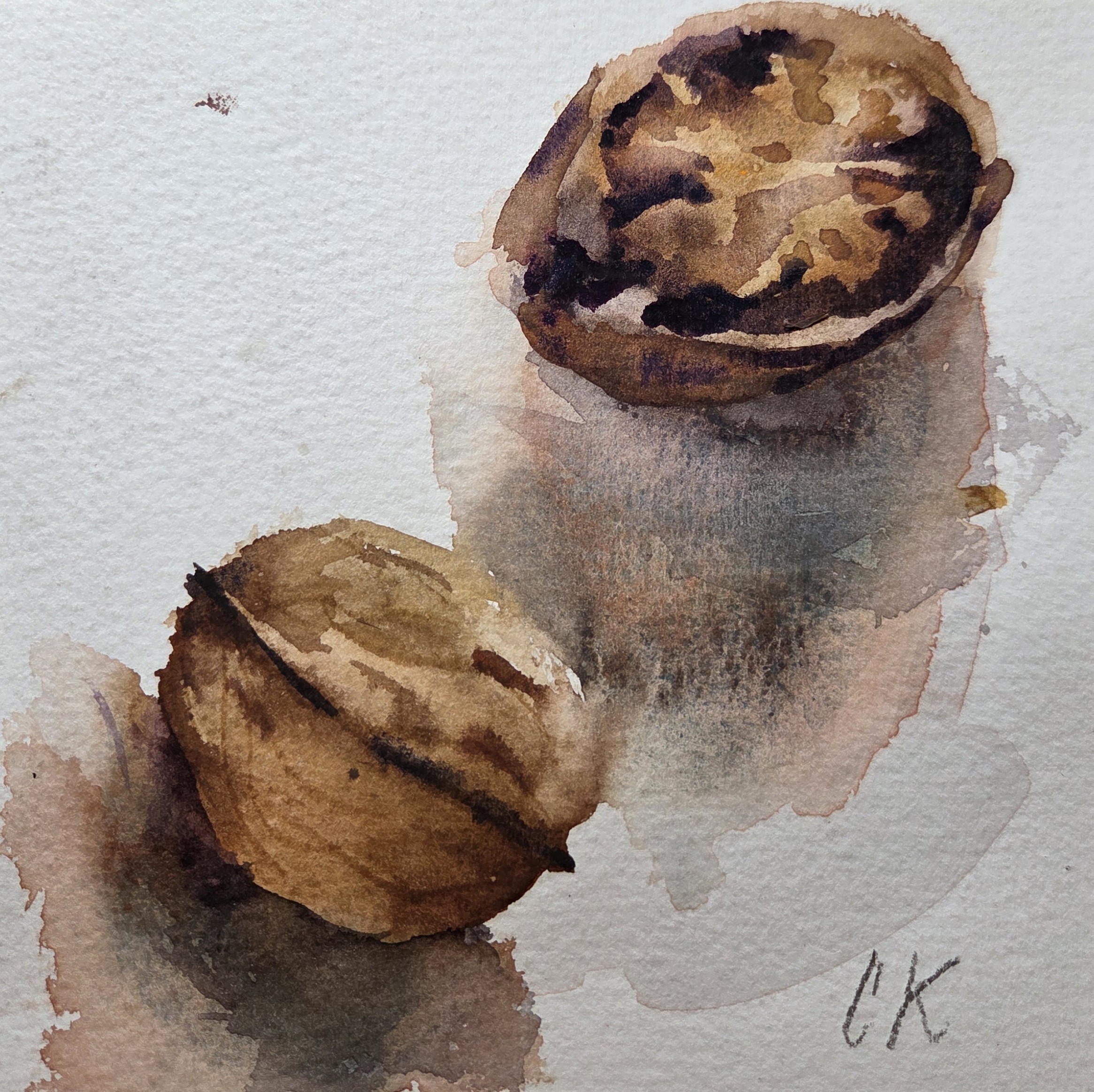 Walnoten aquarel 14 x 14 cm